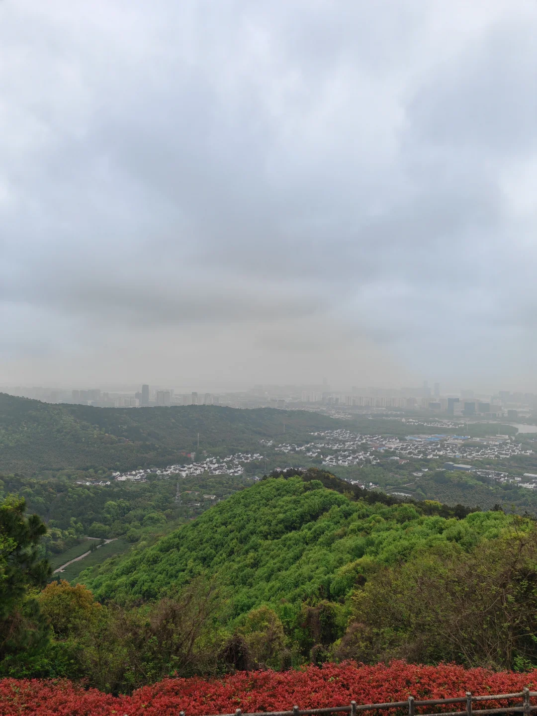 周末徒步|旺山亲子迷你环线，置身绿野仙踪