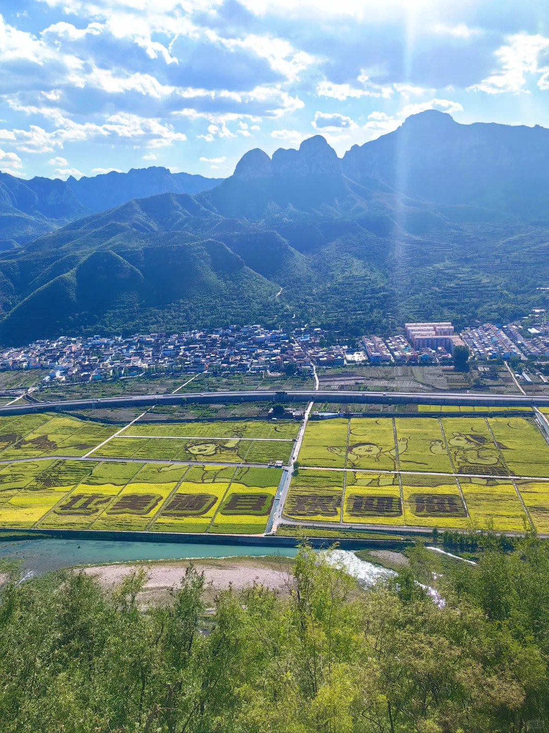 邯郸‖免费的稻田画也太美了吧！