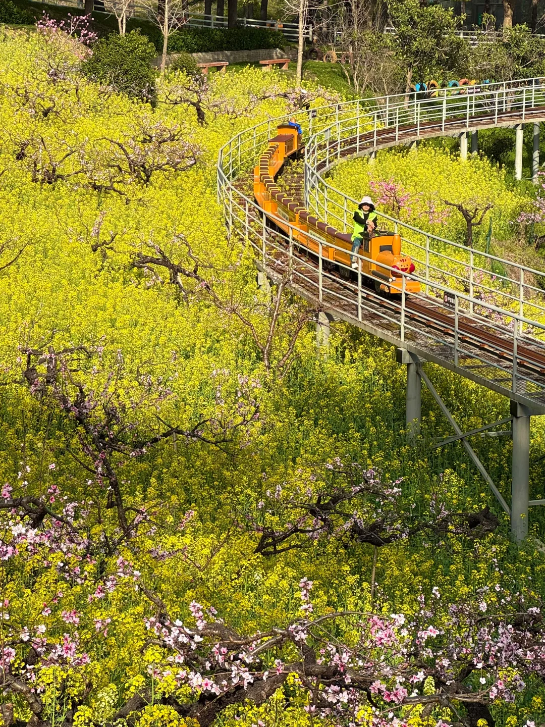 杭州出发1小时，坐上开往春天的花海小火车