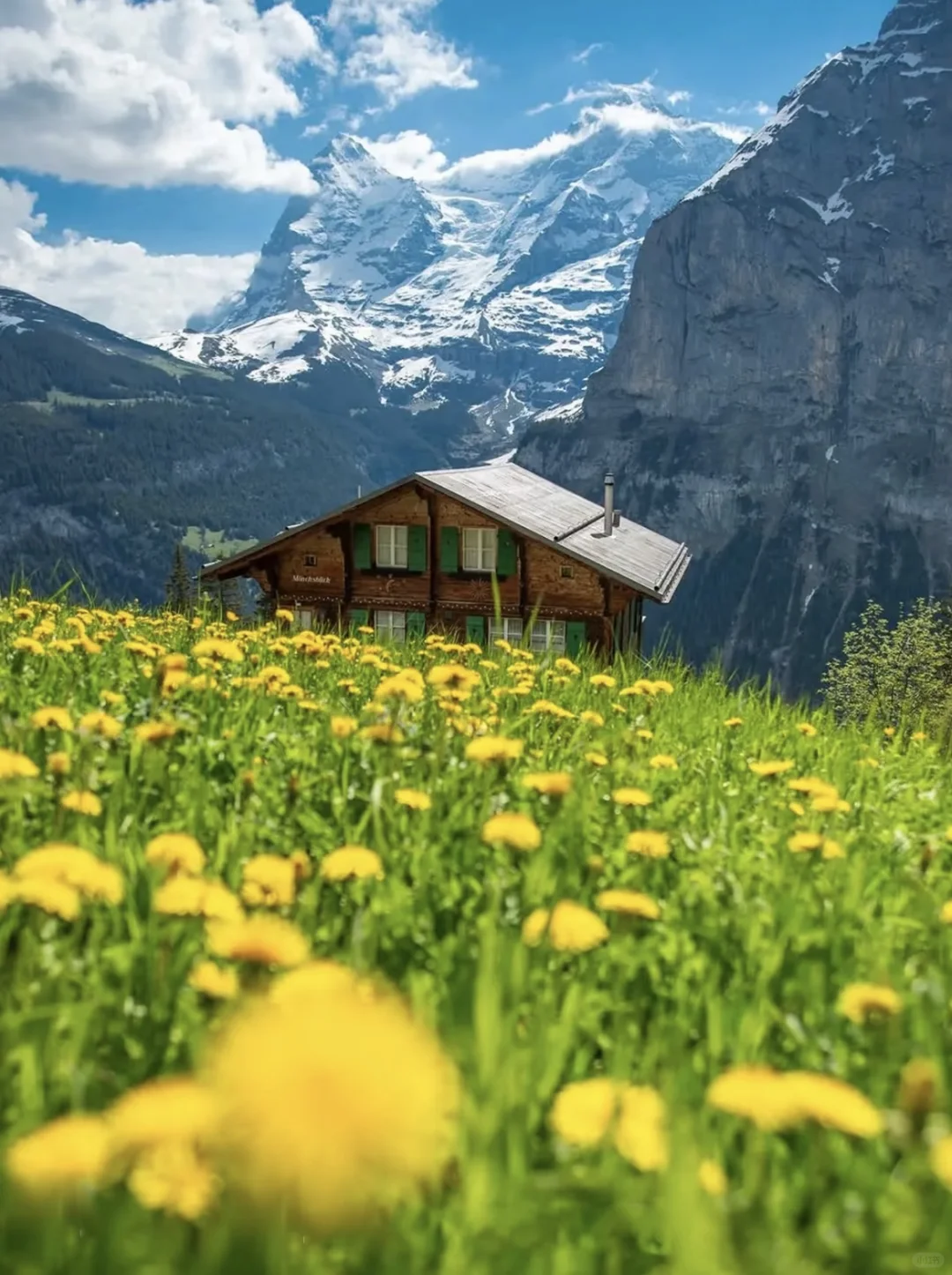 get《我的阿勒泰》同款秘境🔥 美到窒息❗️