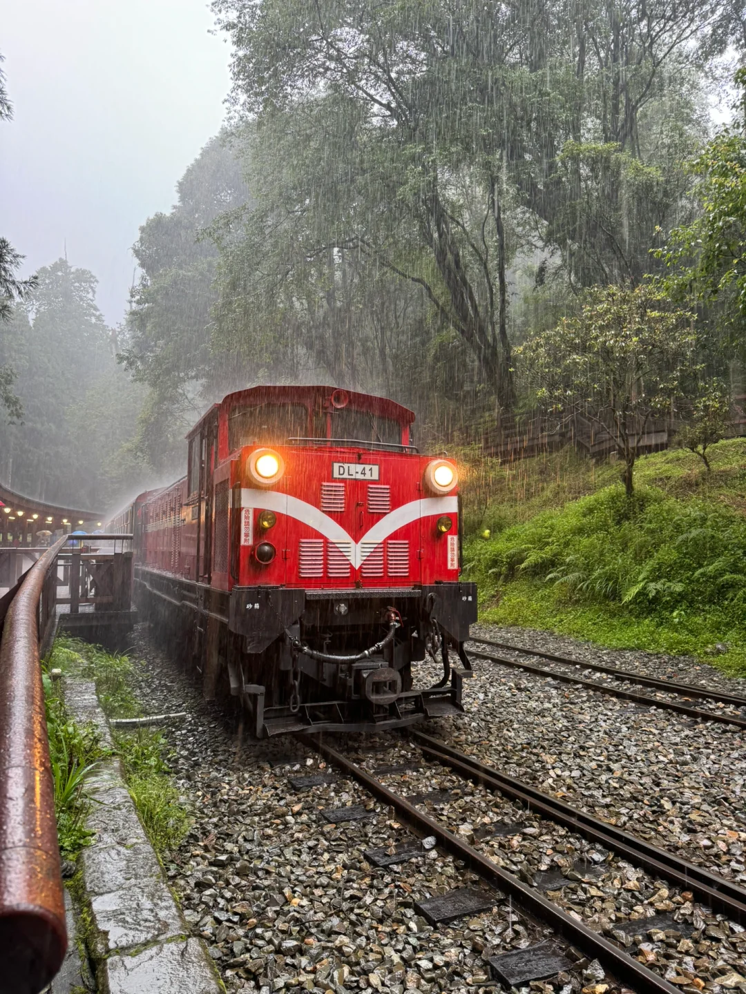 阿里山｜女生独行当日往返｜交通、景点、装备