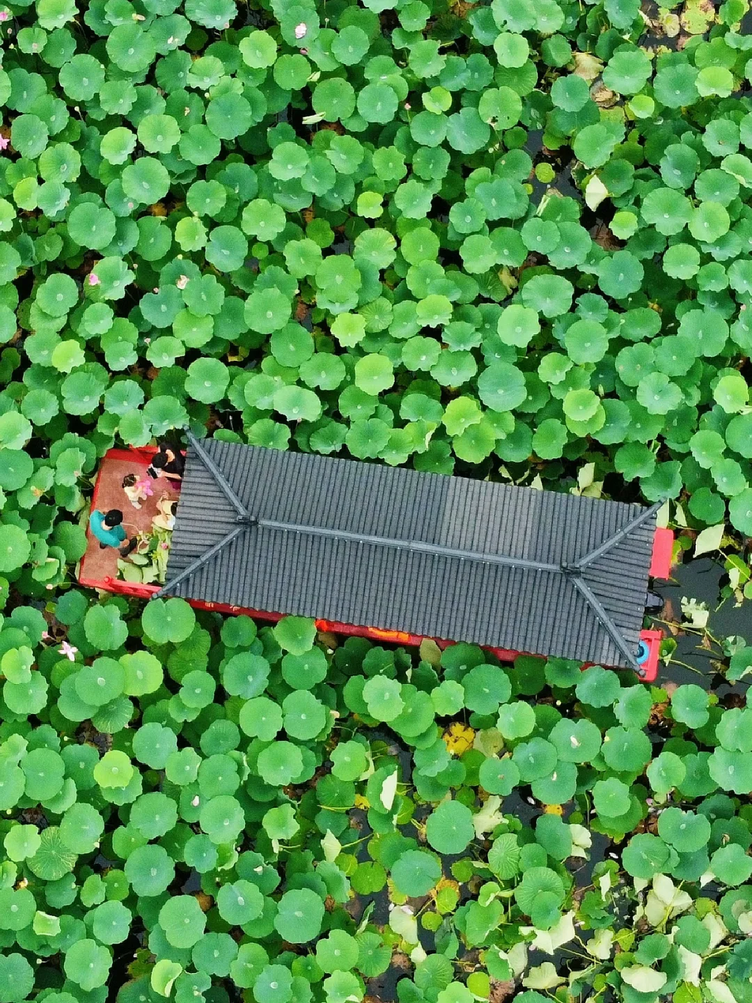 【冀】→ 保定·白洋淀