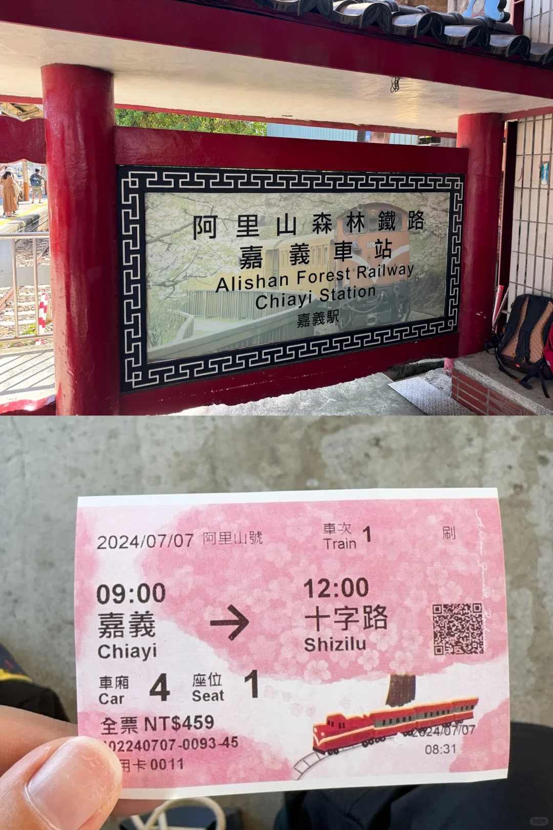 阿里山｜女生独行当日往返｜交通、景点、装备