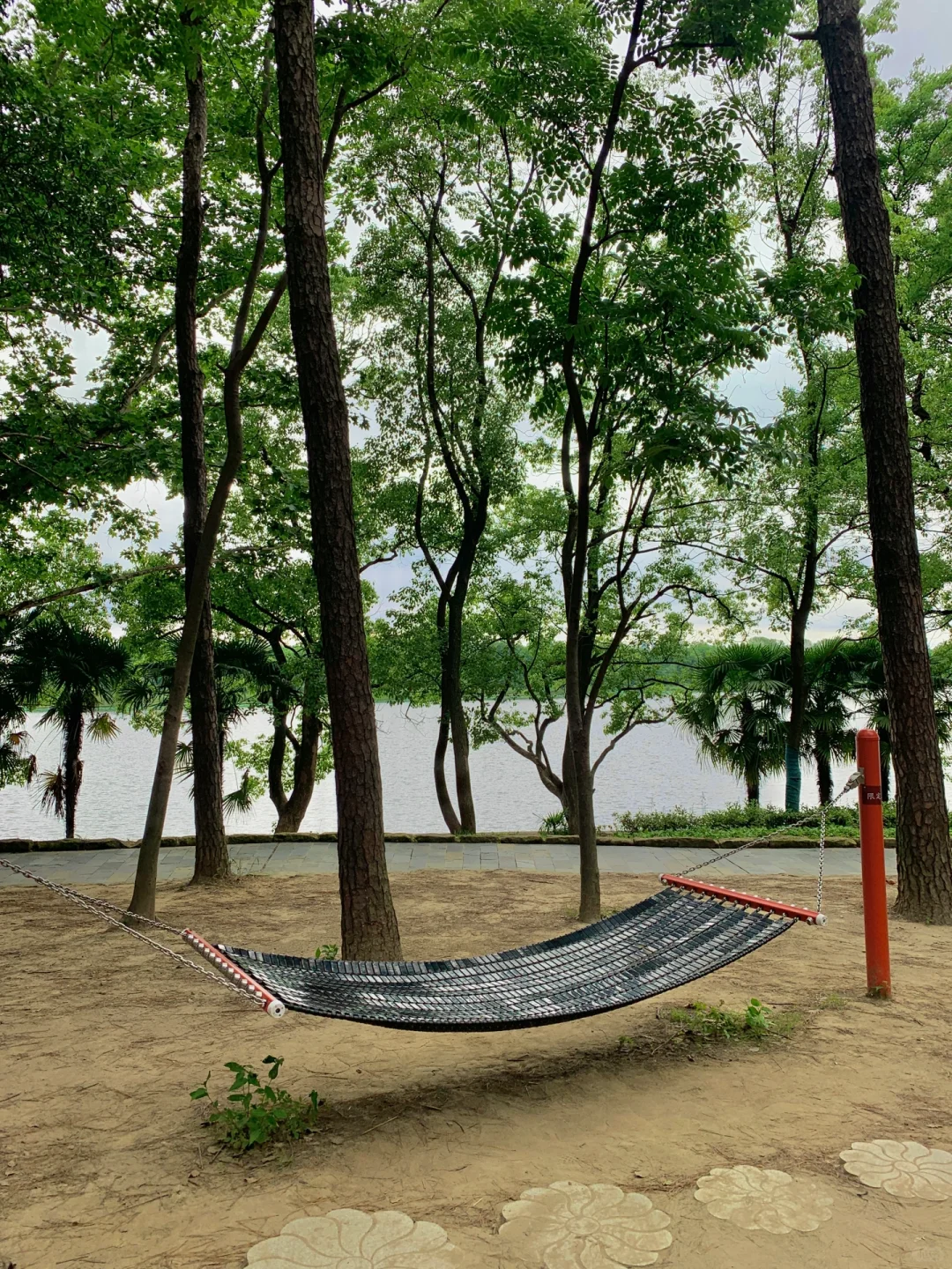 在武汉花的最值的13块钱🌲……