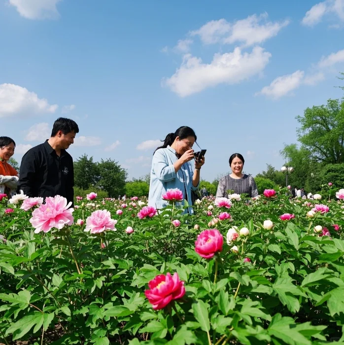 🌟洛阳两日春游记｜穿越十三朝古都
