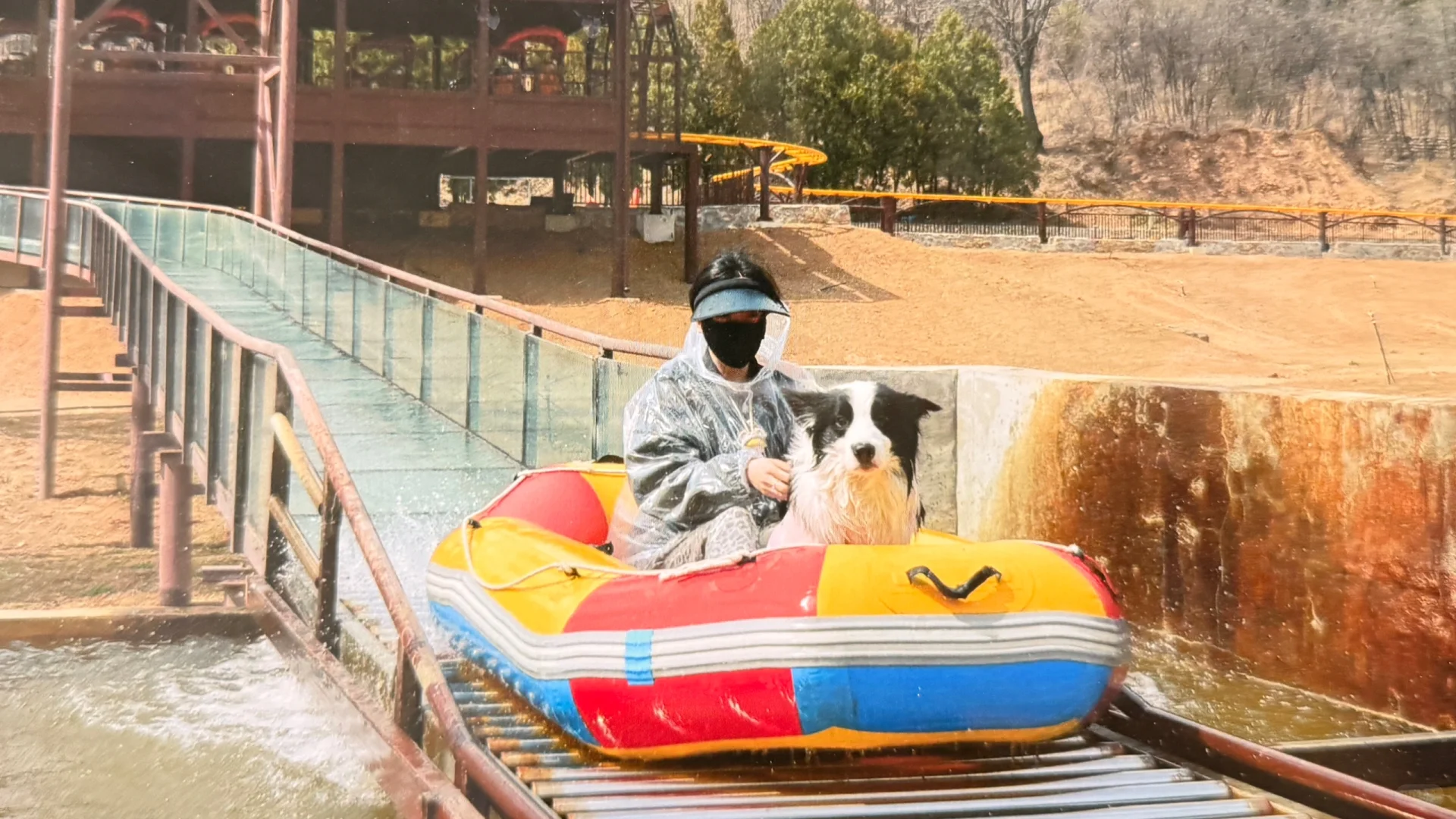 给养狗人疯狂推荐的宠物友好景区