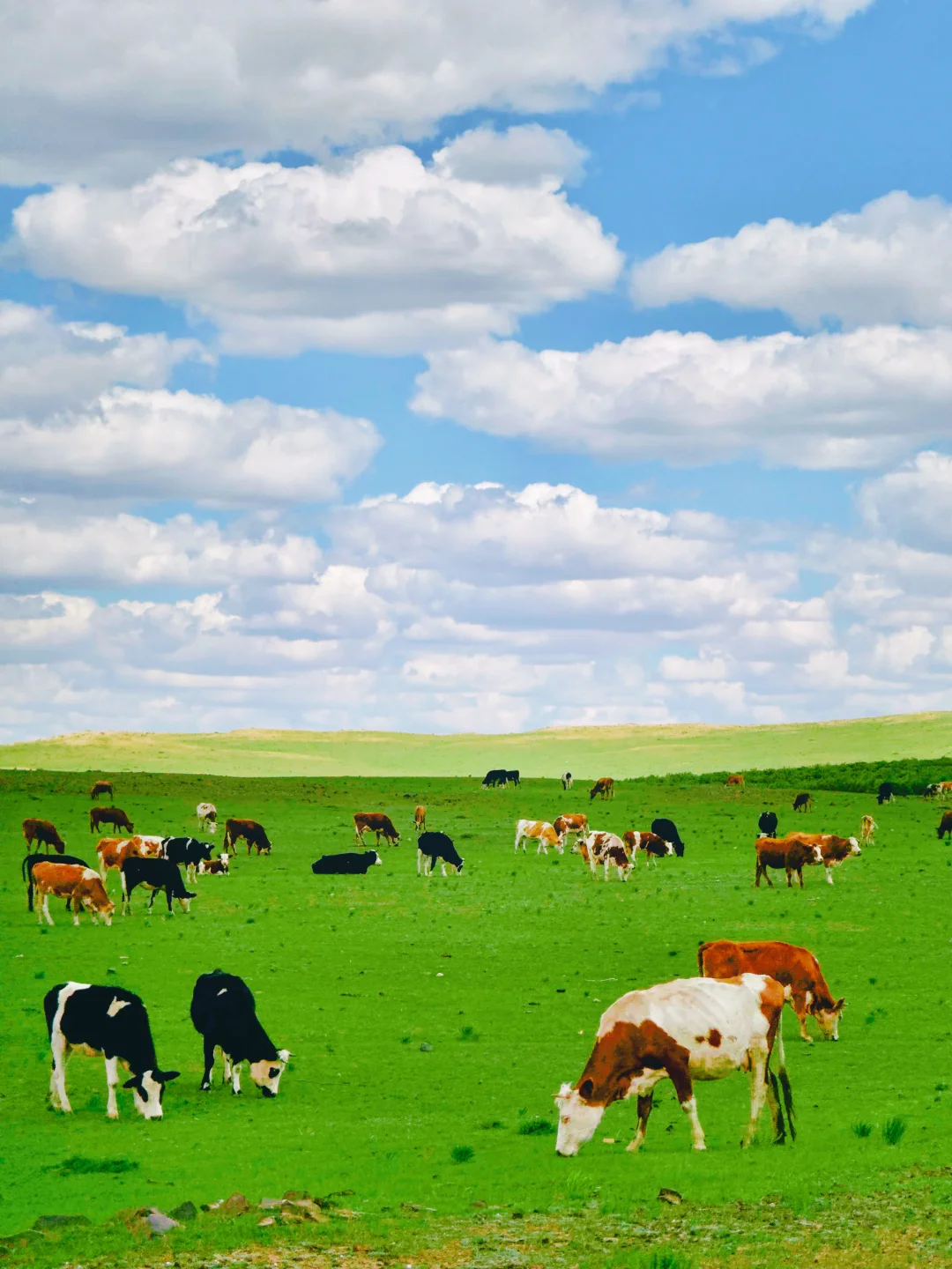 去了5次乌兰察布‼️总结2️⃣日游避坑省钱攻略