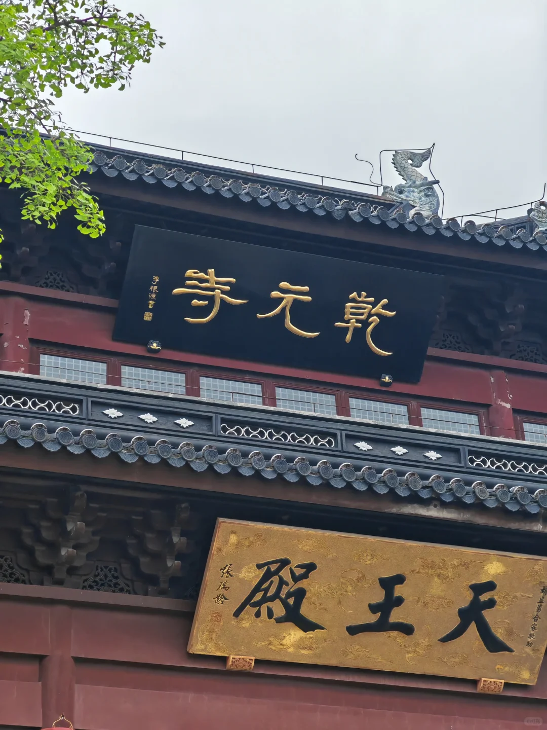 周末徒步|旺山亲子迷你环线，置身绿野仙踪