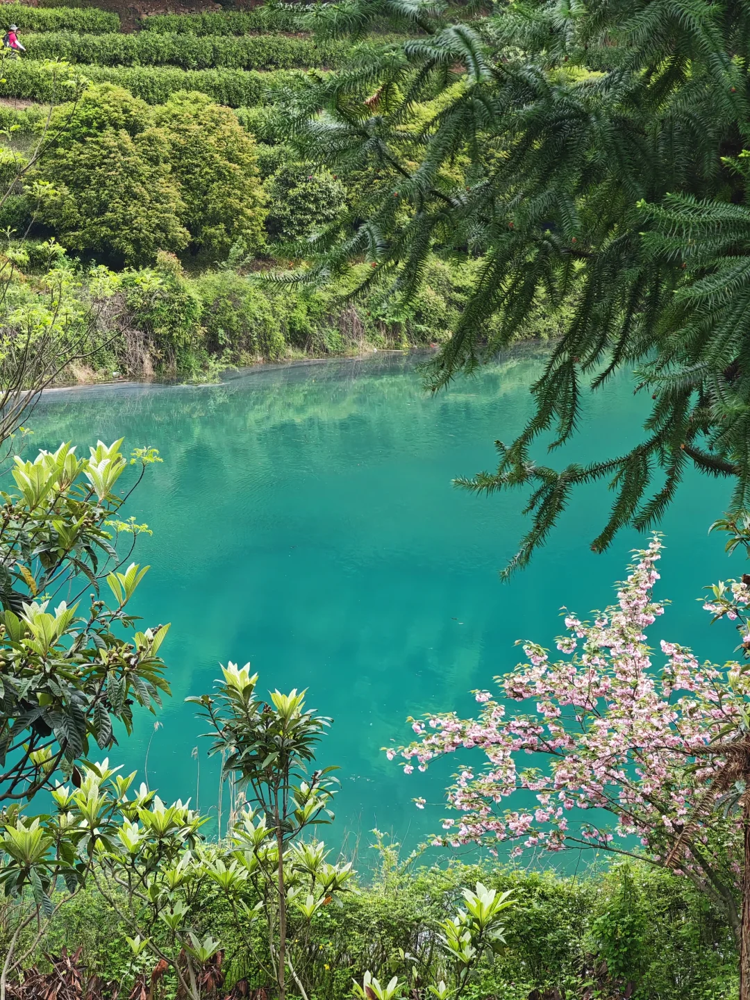 周末徒步|旺山亲子迷你环线，置身绿野仙踪