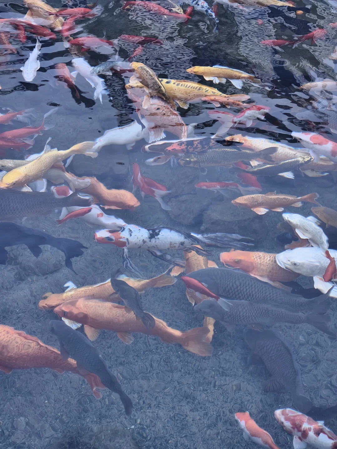 邯郸丨峰峰半日游