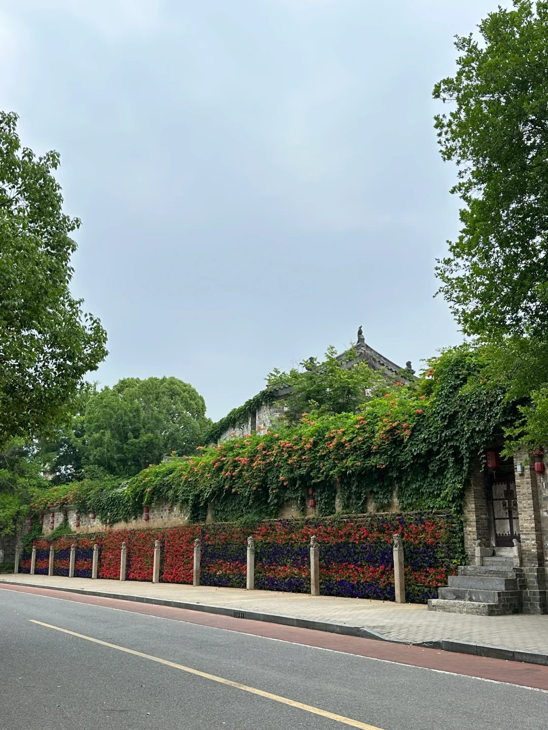 阜阳📍溜达好去处～