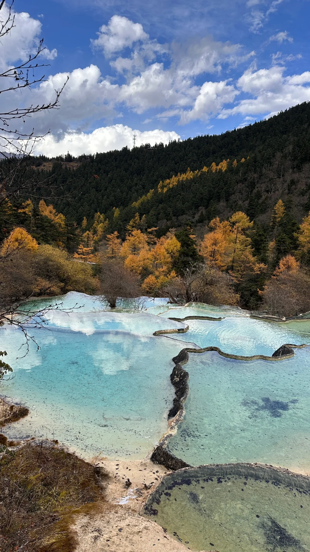 🇨🇳九寨黄龙景区🧎🏻‍♂️‍➡️已老实，别来！