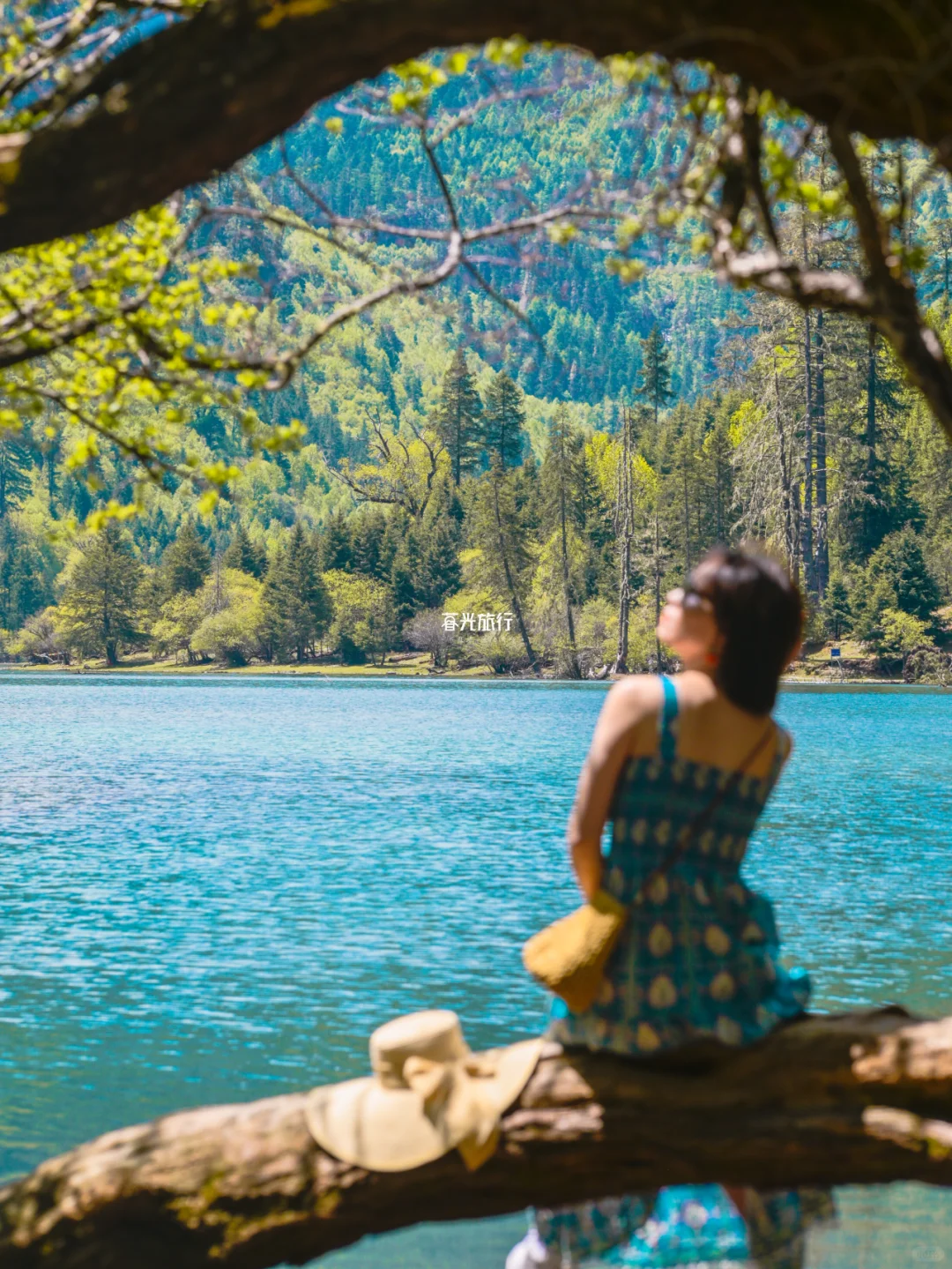 去了川西才知道！😅这些景点完全没必要去