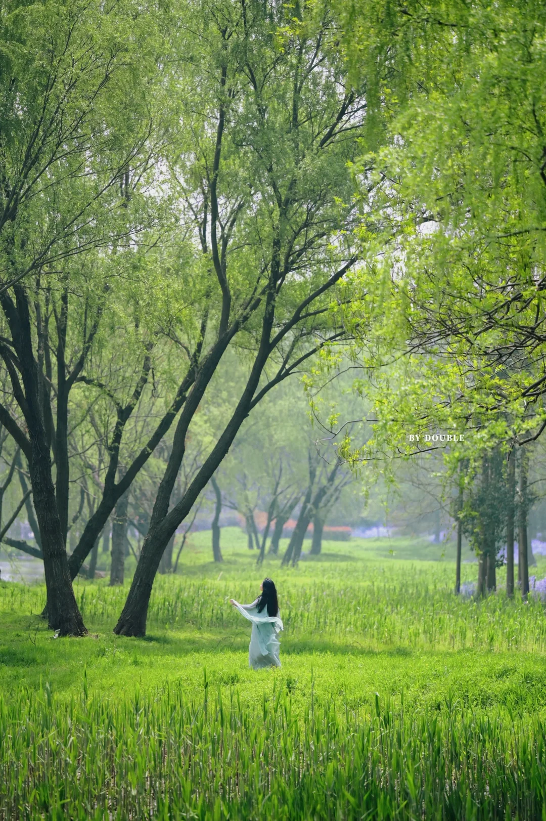 扬州，满足我所有的江南情结