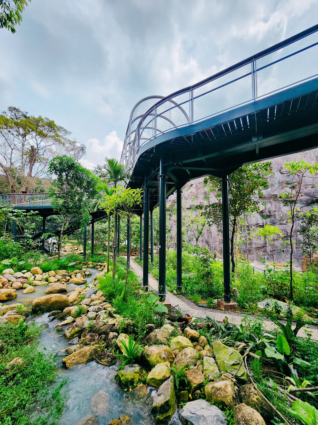 新加坡全新景点｜徒步探险！也太好拍了吧！