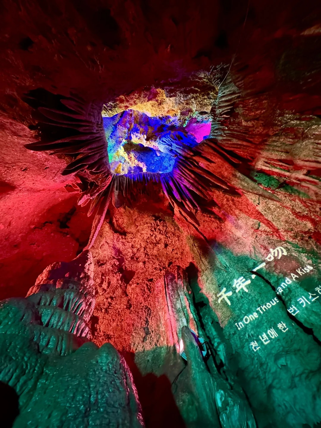 远赴人间惊鸿宴老君山三月踏春全攻略