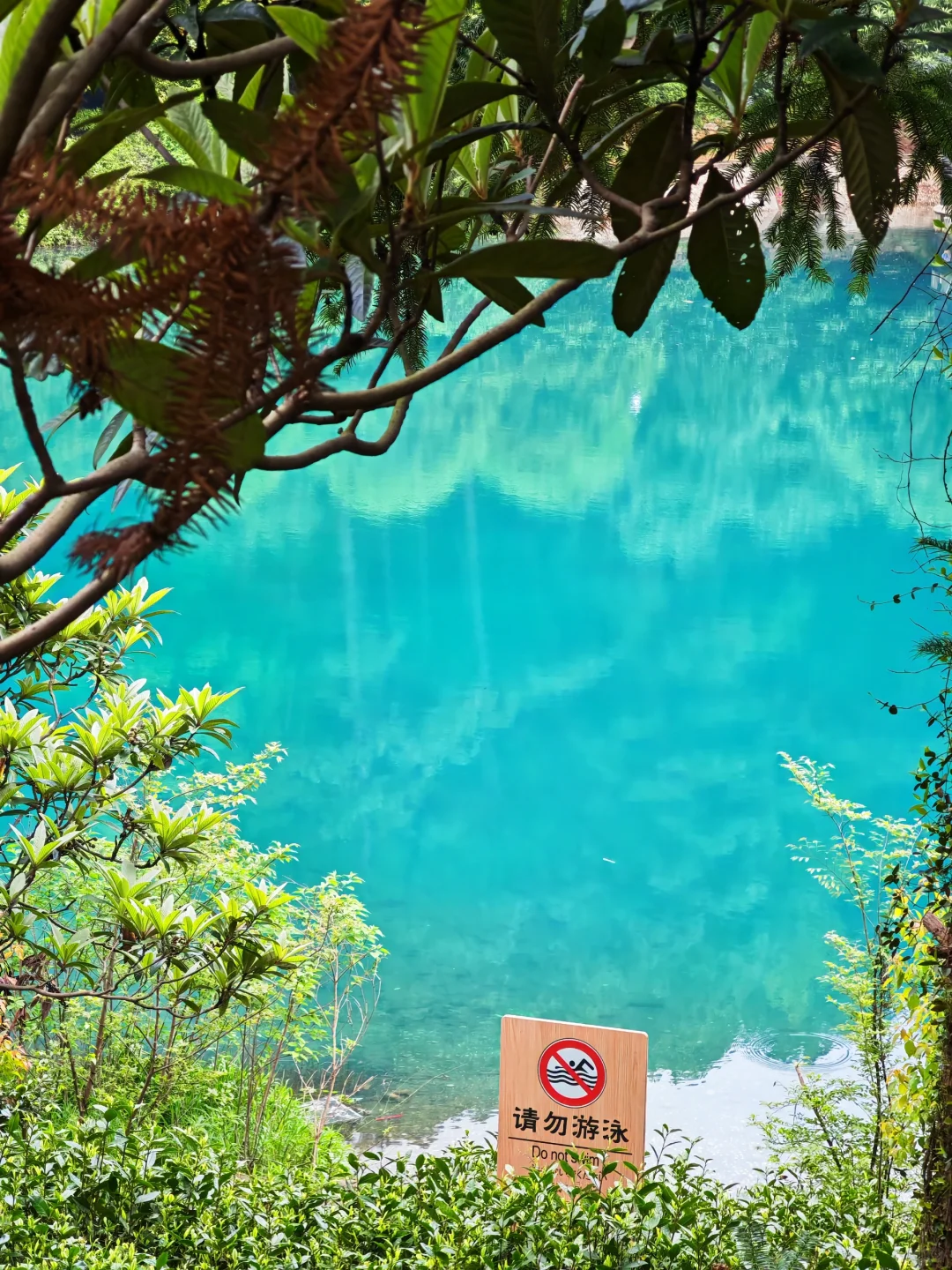 周末徒步|旺山亲子迷你环线，置身绿野仙踪