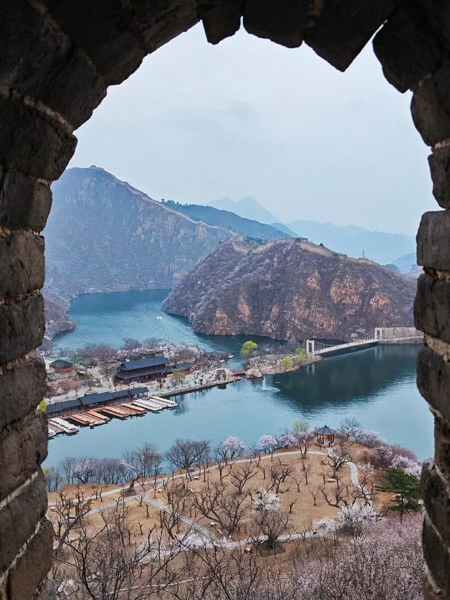🌸北京最美长城-黄花水长城 🌸赏花攻略来咯