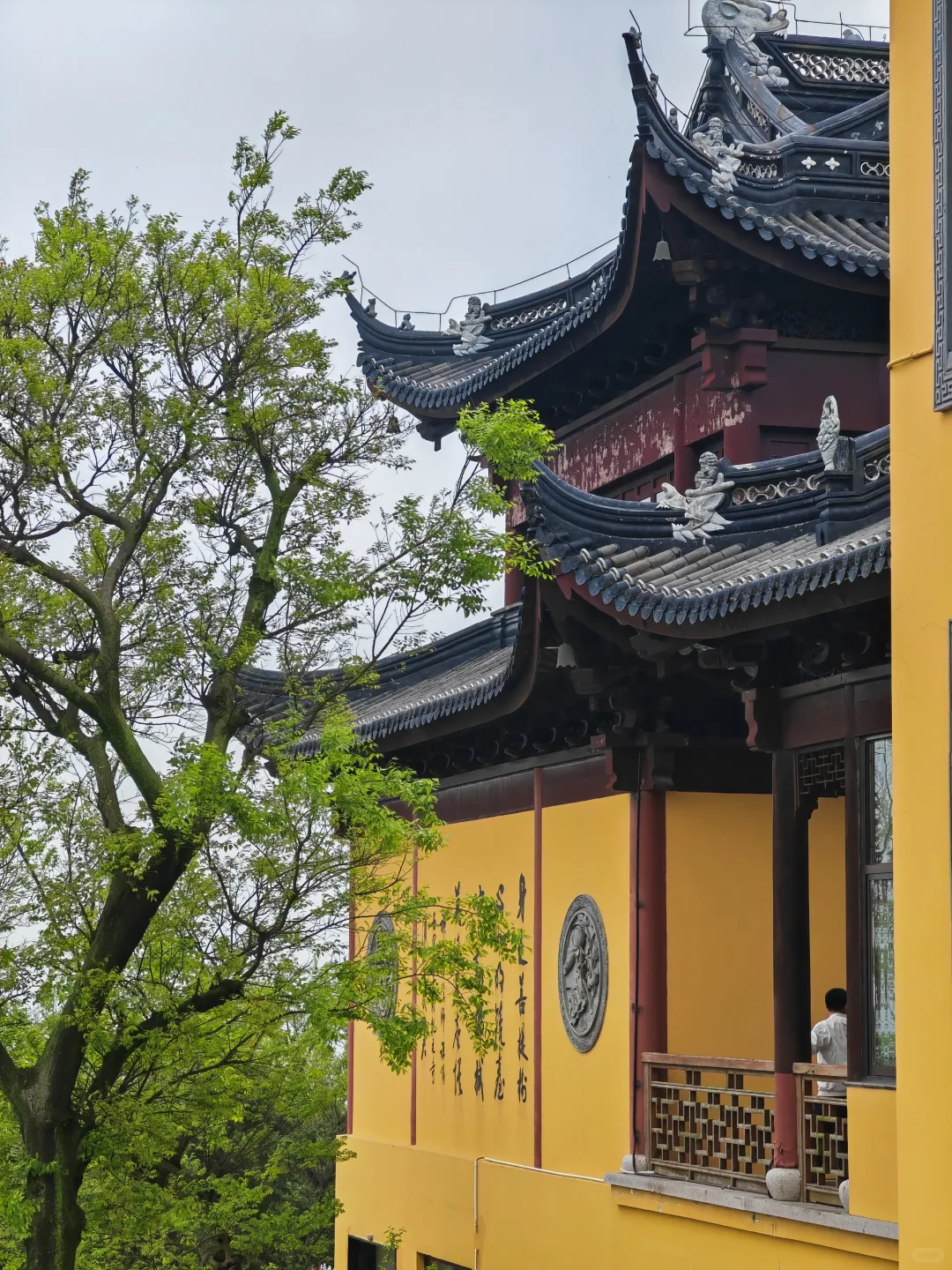 周末徒步|旺山亲子迷你环线，置身绿野仙踪