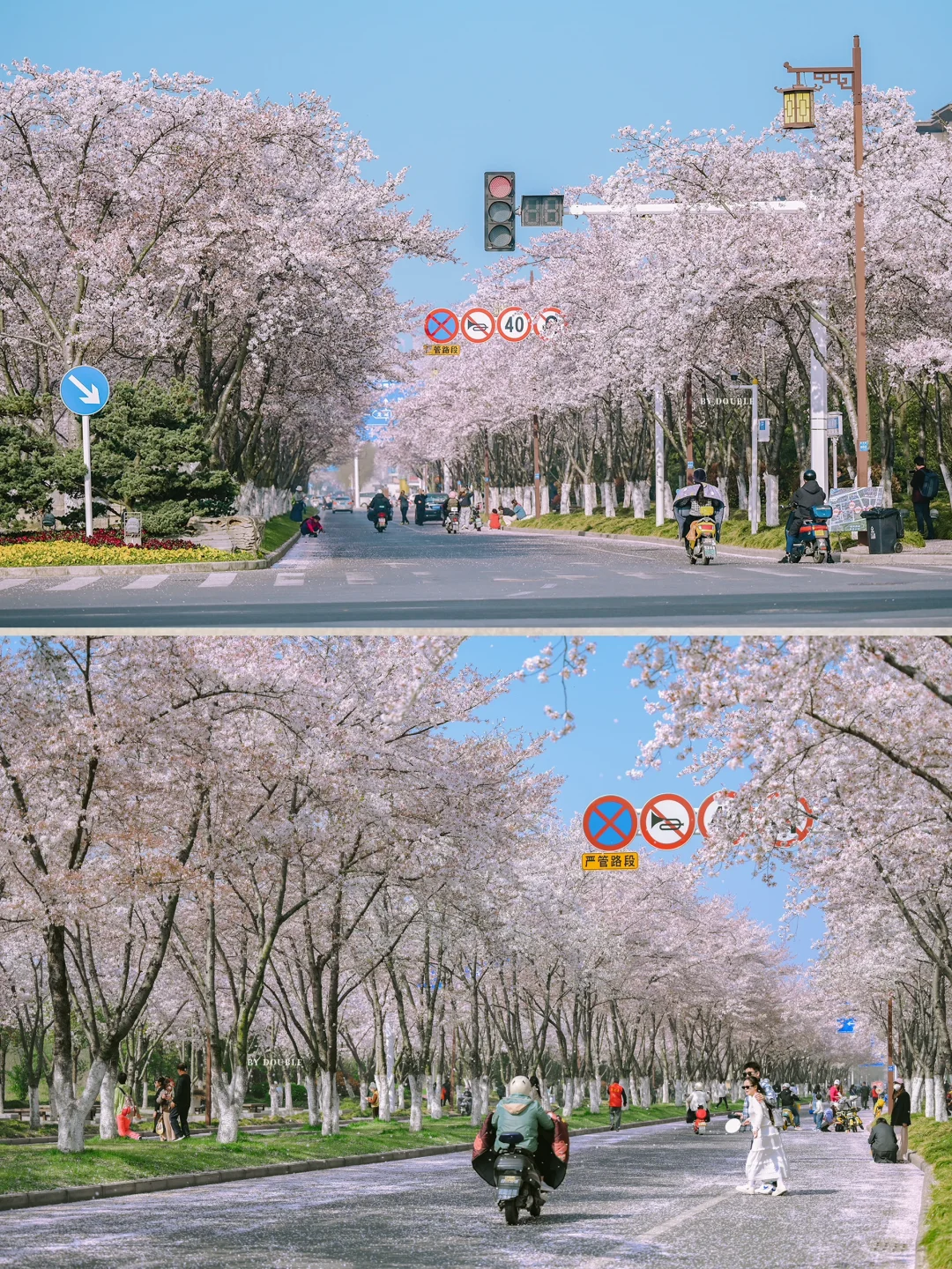 扬州，满足我所有的江南情结