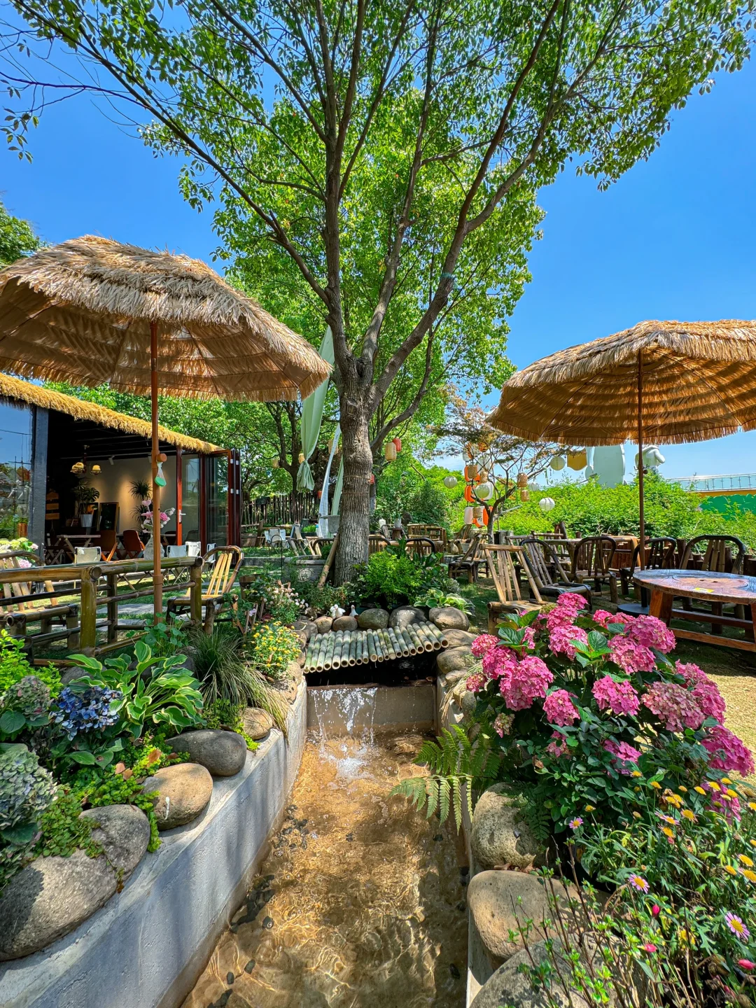 绝了‼️苏州你真美！！！