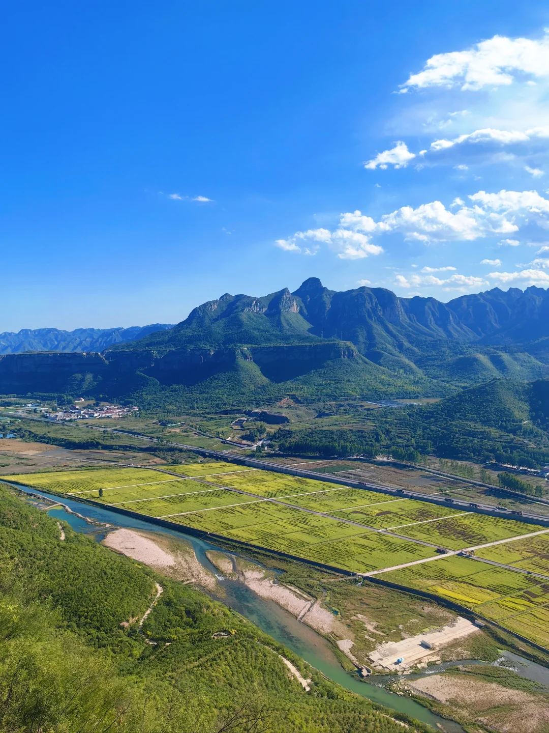 邯郸‖免费的稻田画也太美了吧！