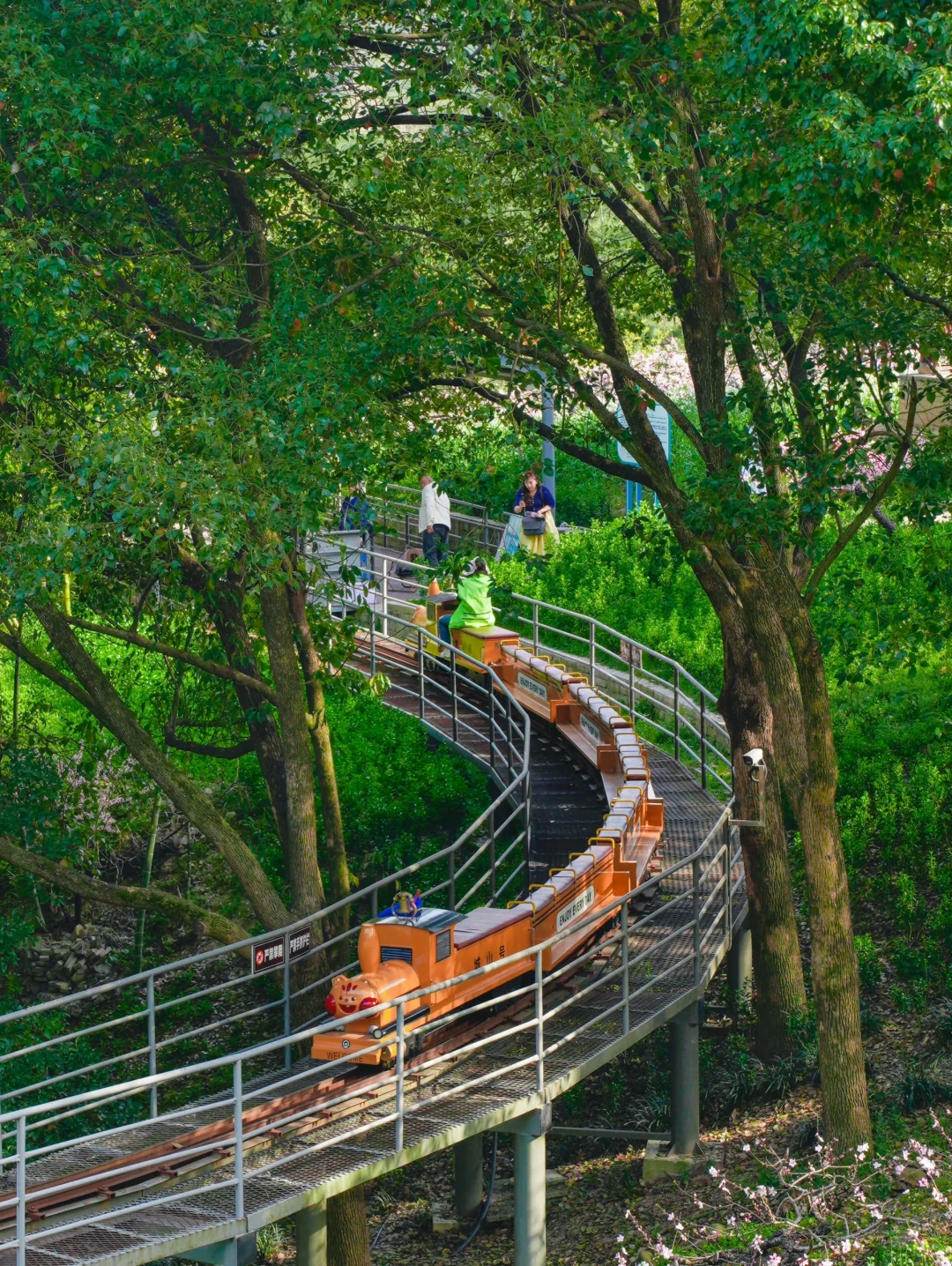 杭州出发1小时，坐上开往春天的花海小火车