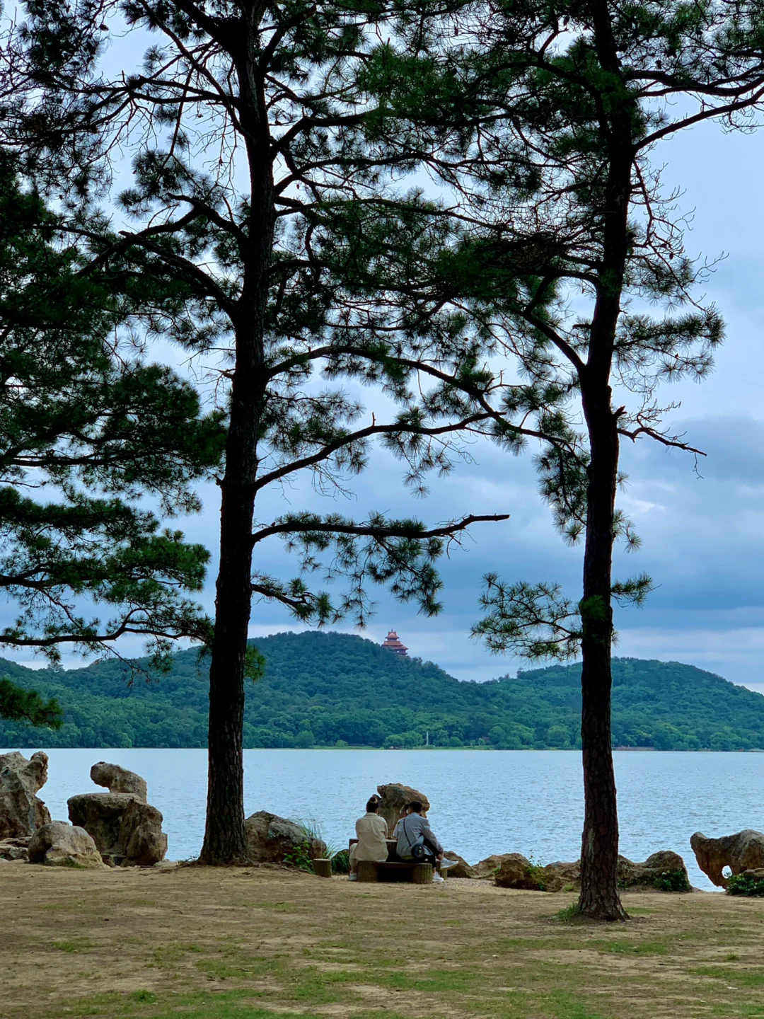 在武汉花的最值的13块钱🌲……