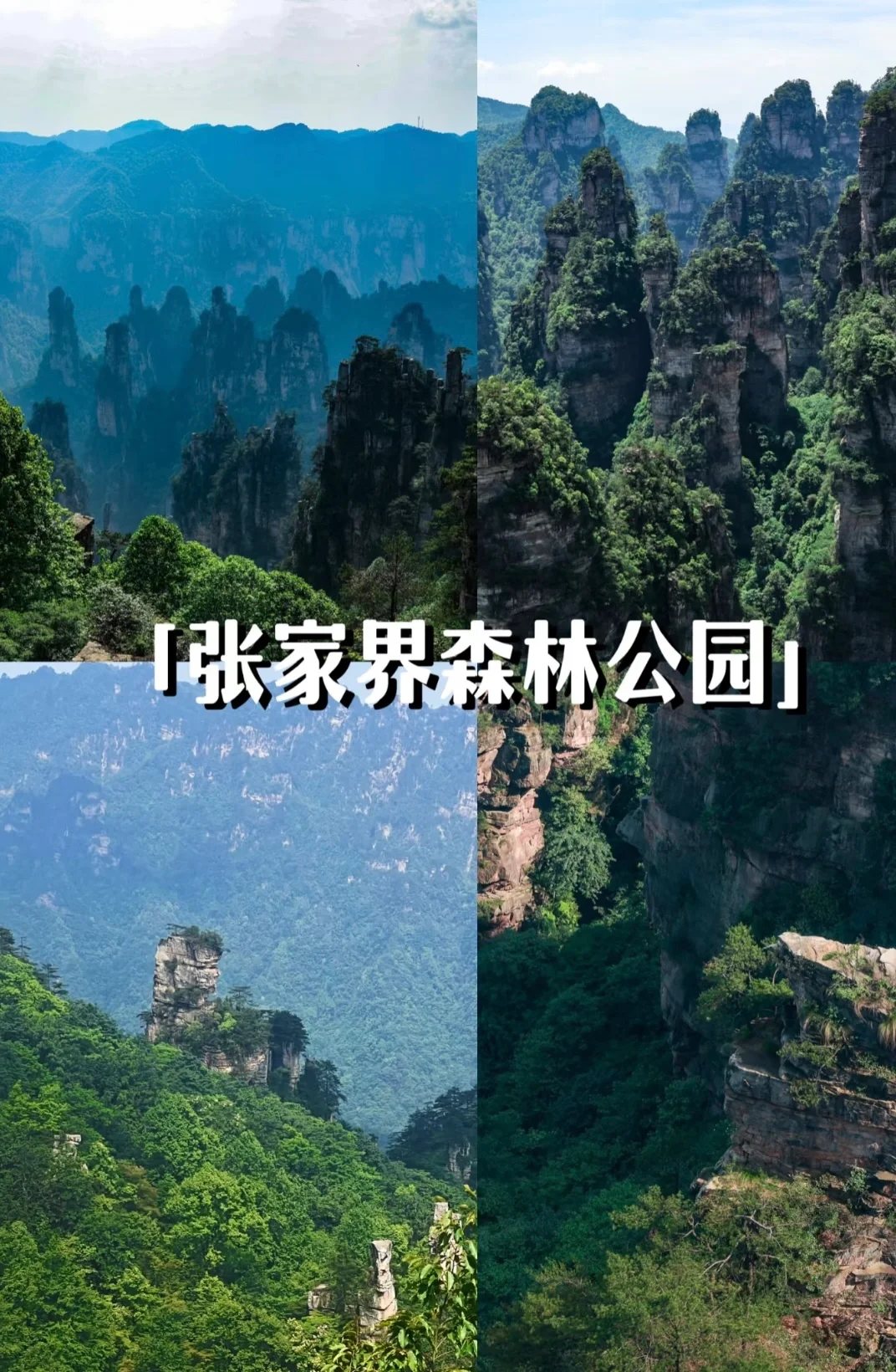 🌟【张家界游玩全攻略】🌟