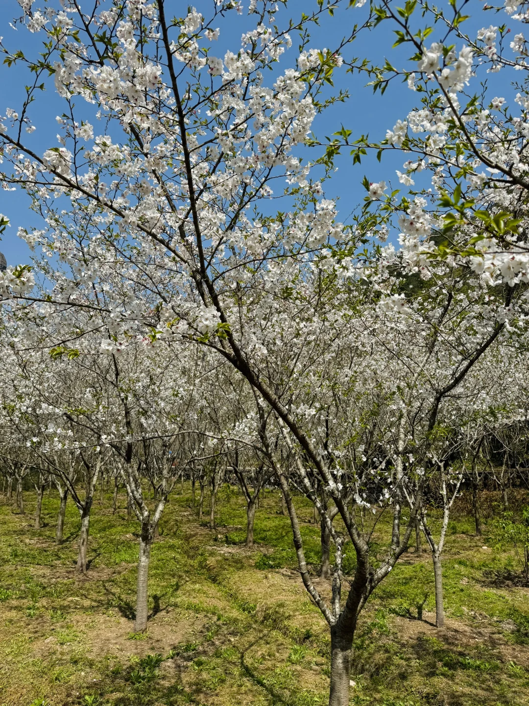 宝藏户外遛娃好去处 西漈景区攻略