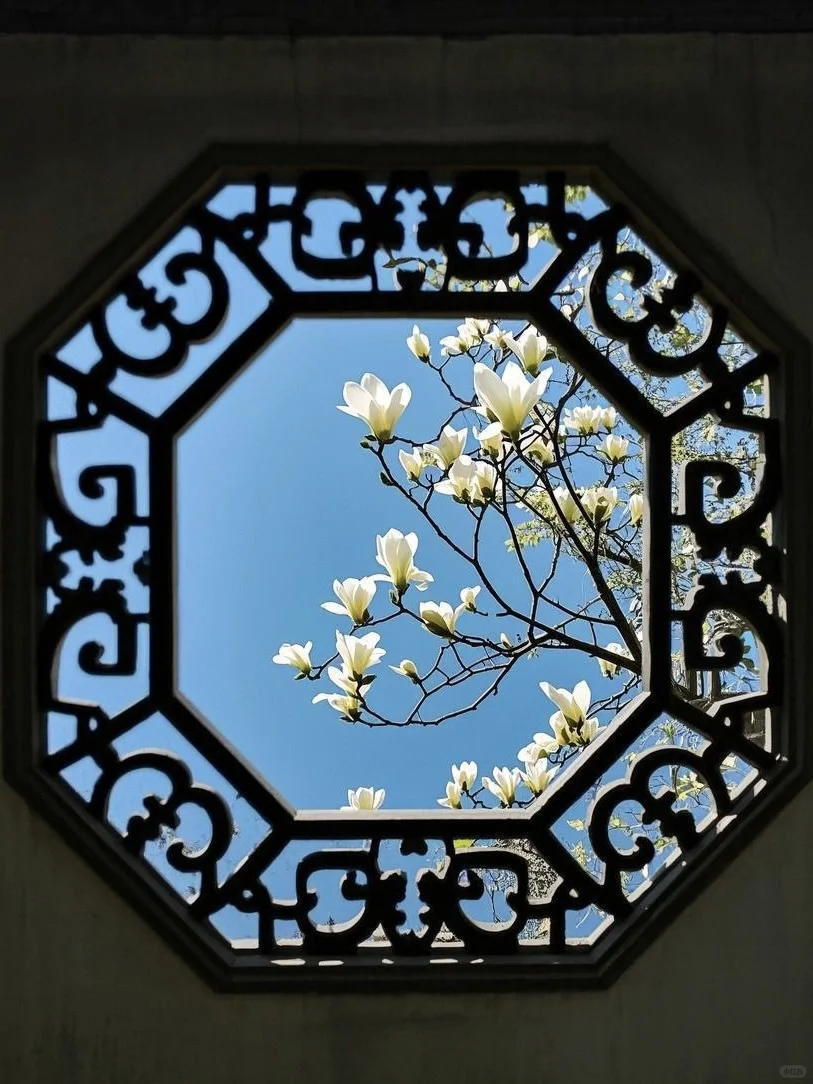 这大概就是老祖宗骨子里不灭的极致审美吧