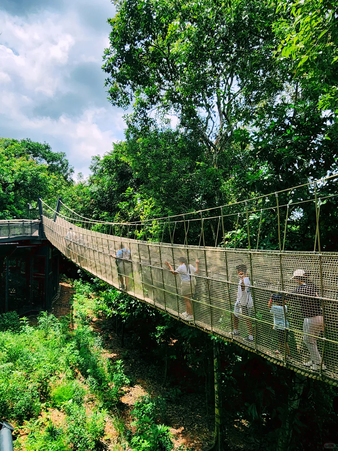 新加坡全新景点｜徒步探险！也太好拍了吧！