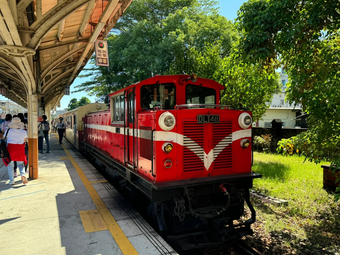 阿里山｜女生独行当日往返｜交通、景点、装备