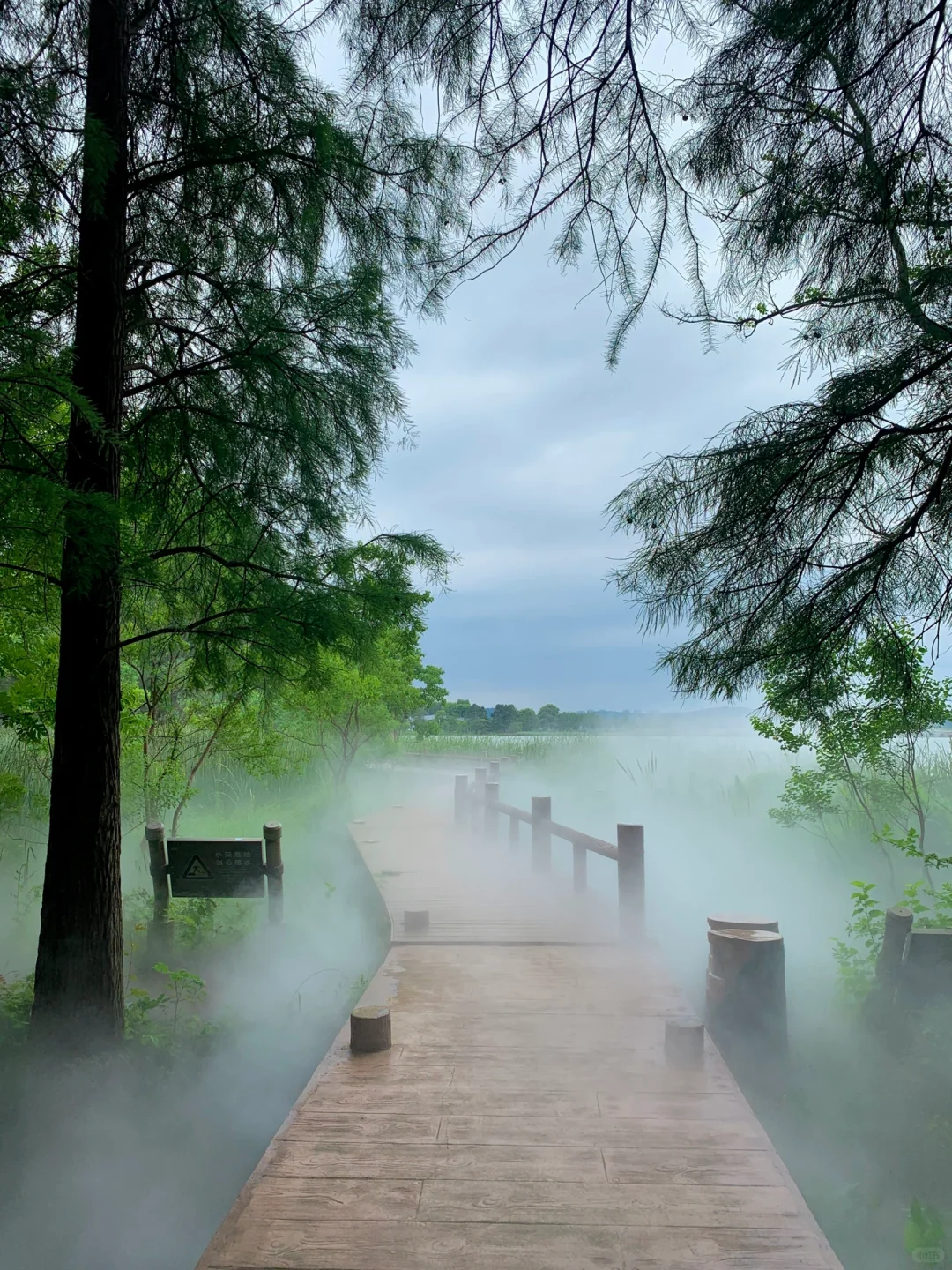 在武汉花的最值的13块钱🌲……