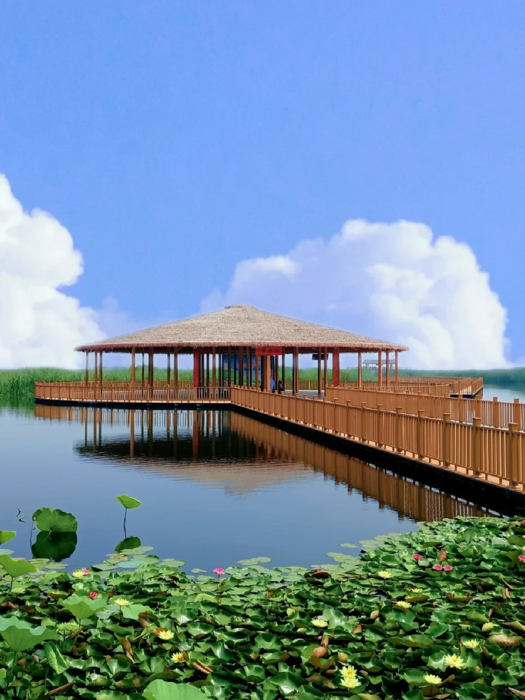 【冀】→ 保定·白洋淀