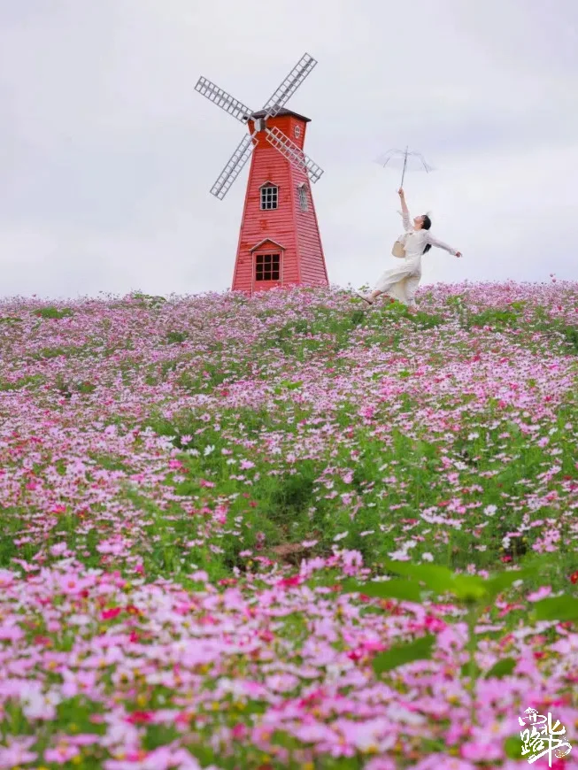 🌸【宁夏全年赏花地图｜承包你一整年的浪漫