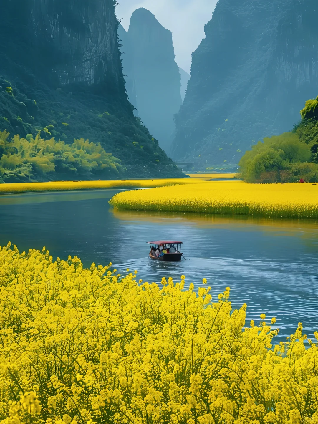 清明节看油菜花，阳朔后劲真的太大了