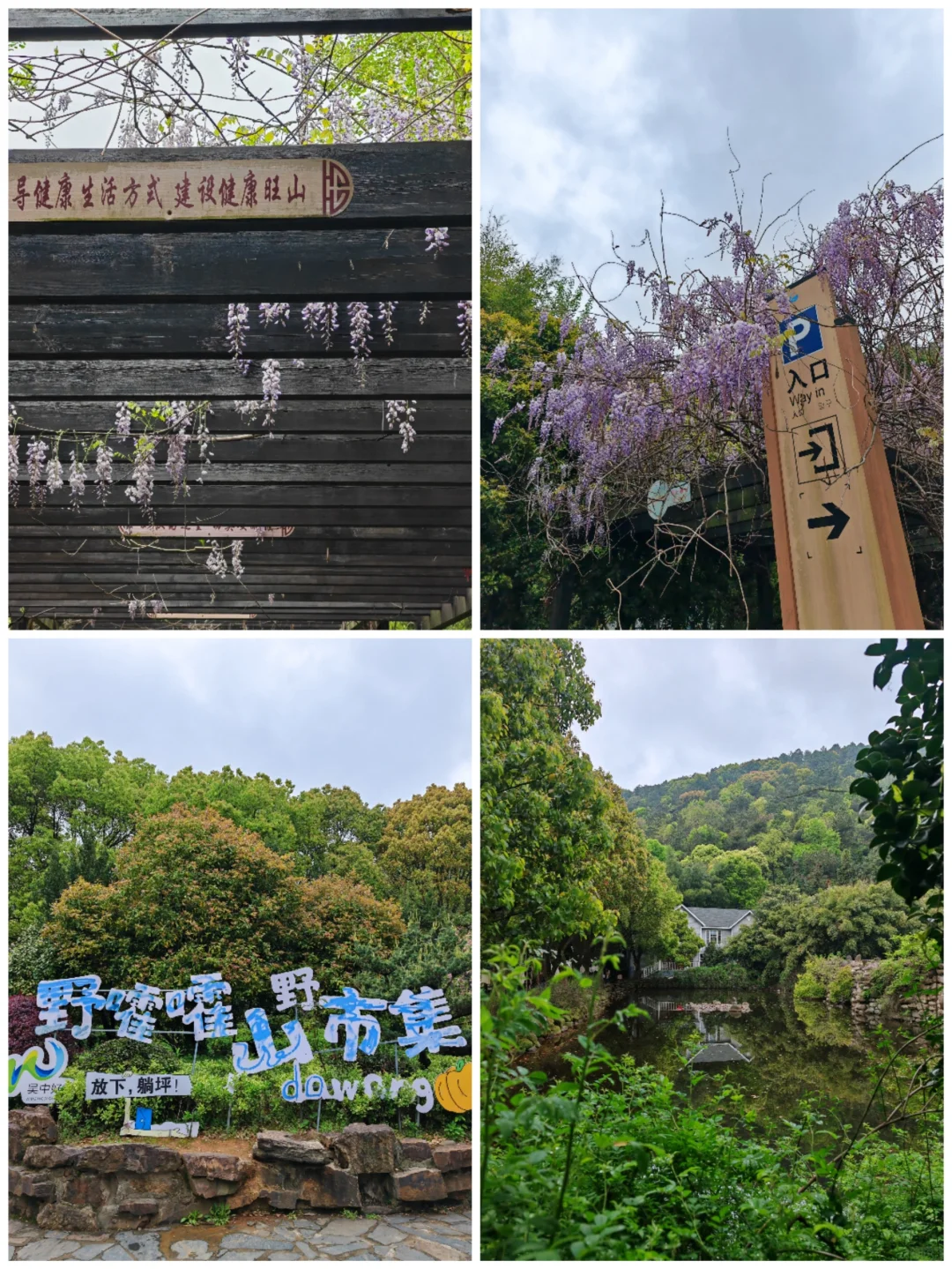 周末徒步|旺山亲子迷你环线，置身绿野仙踪