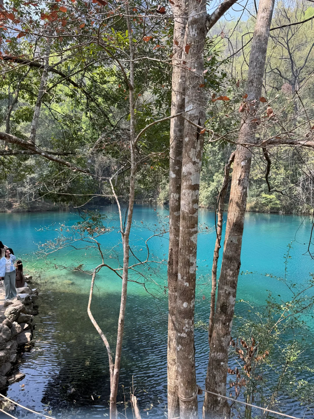 大小七孔暴走2万步,贵阳-荔波-西江千户苗寨
