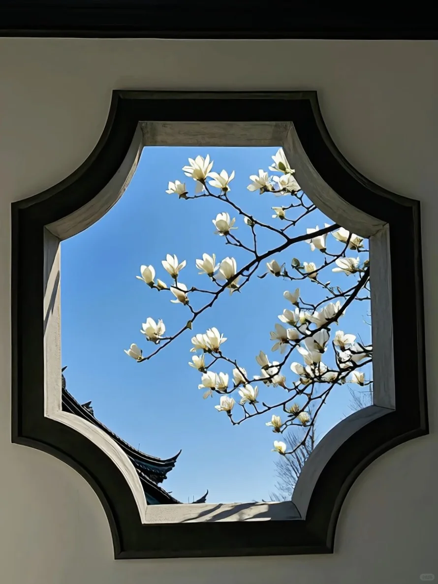 这大概就是老祖宗骨子里不灭的极致审美吧