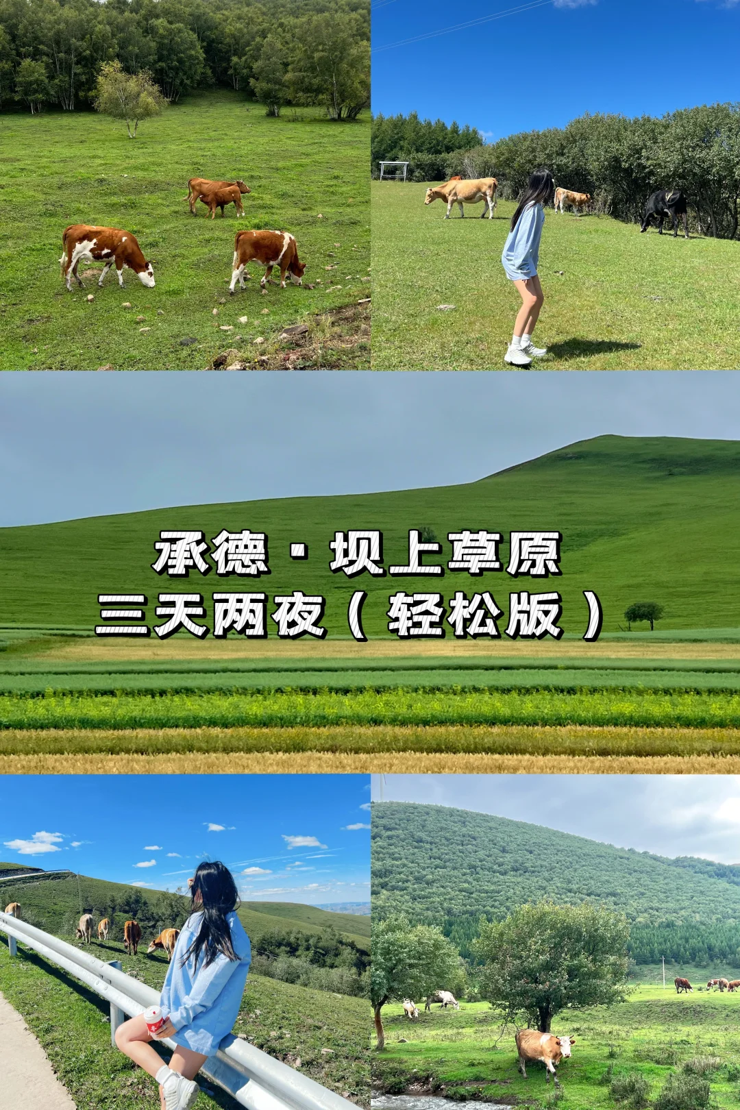 草原避暑/承德丰宁坝上草原