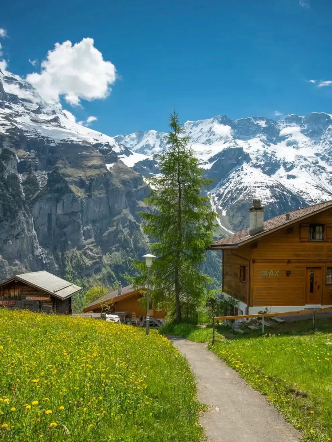 get《我的阿勒泰》同款秘境🔥 美到窒息❗️