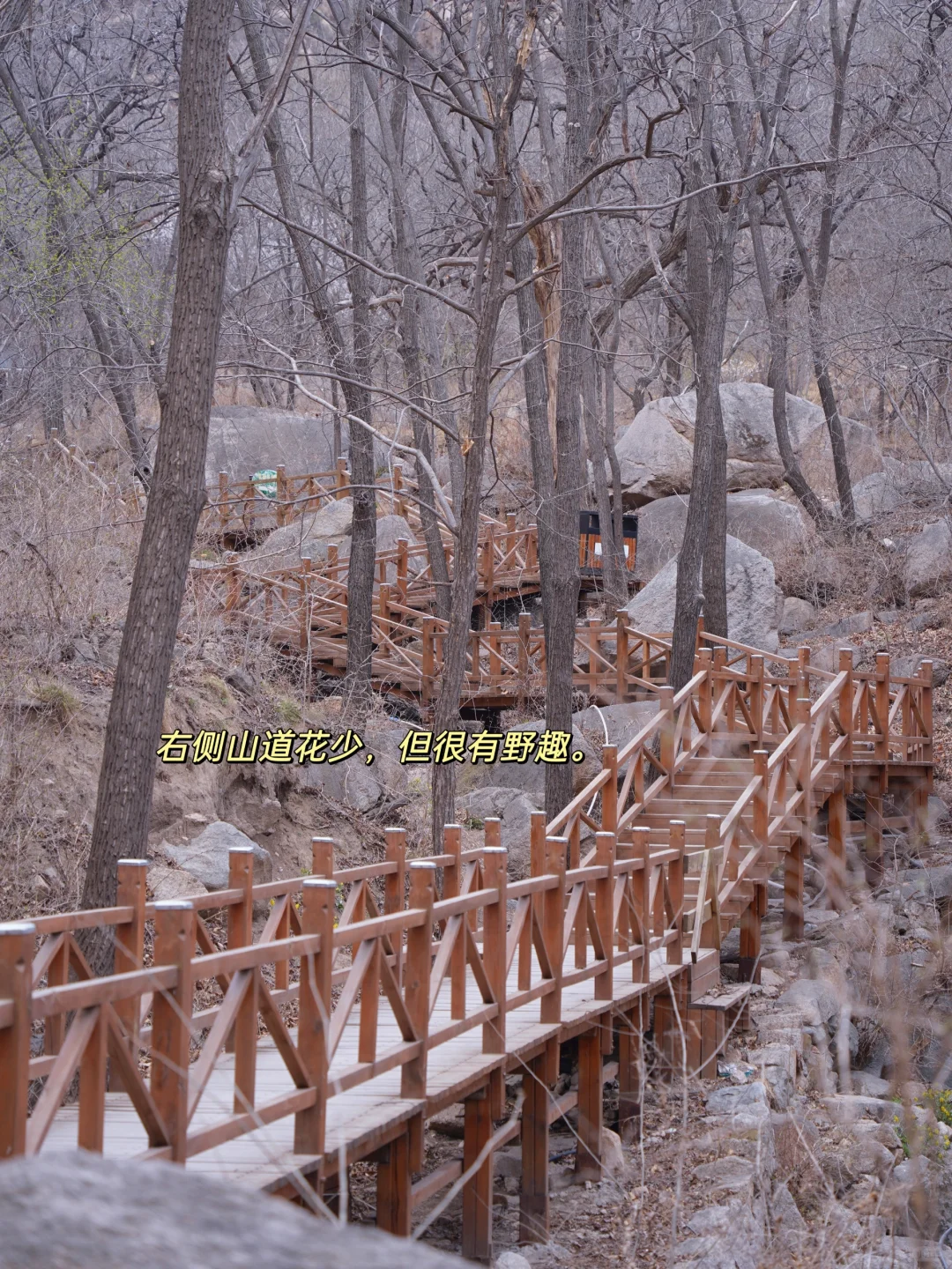 4.1实拍！京郊新开超美赏花栈道，附攻略