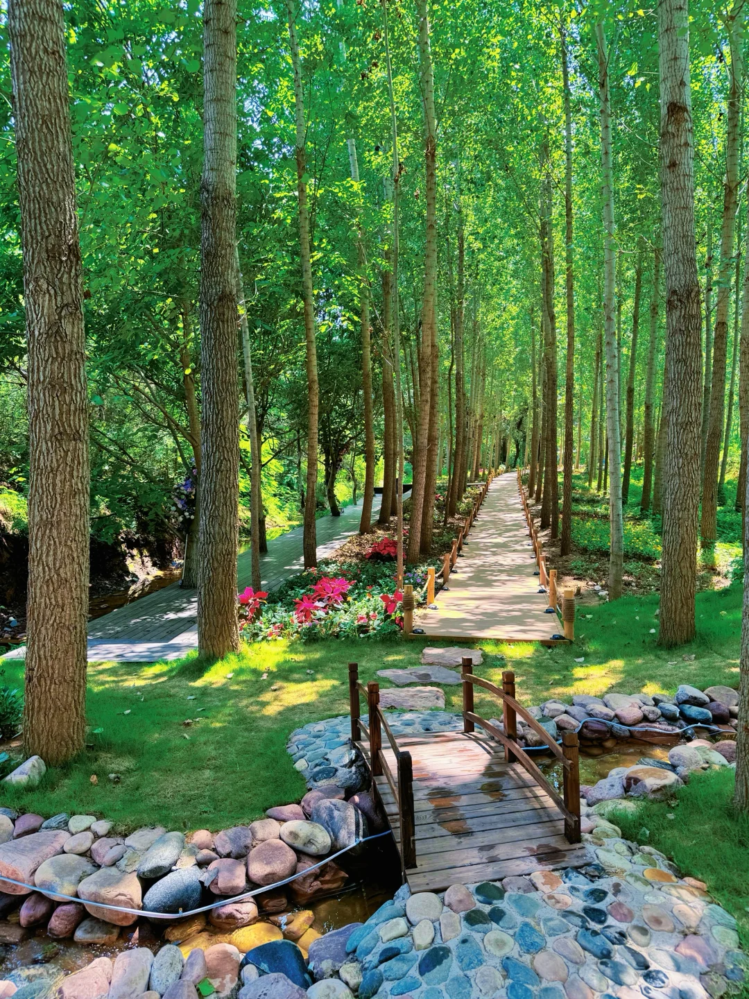 这么近那么美 周末到河北 邢台抱香谷等你来