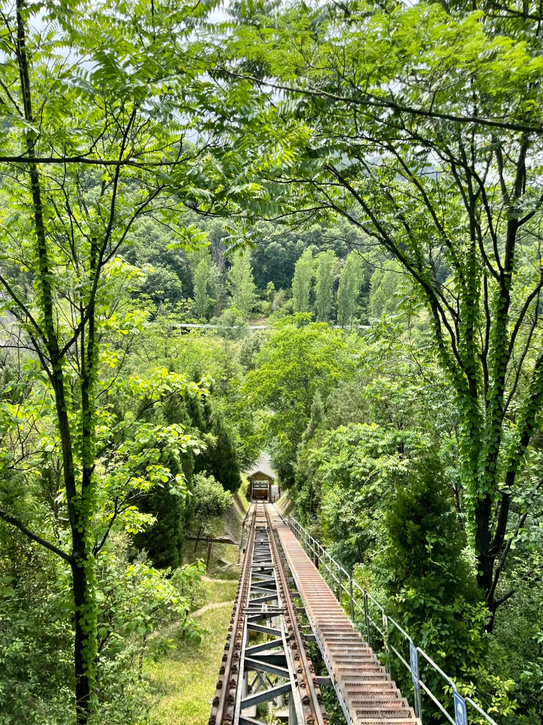 栾川！！让我好像走进了动漫里！