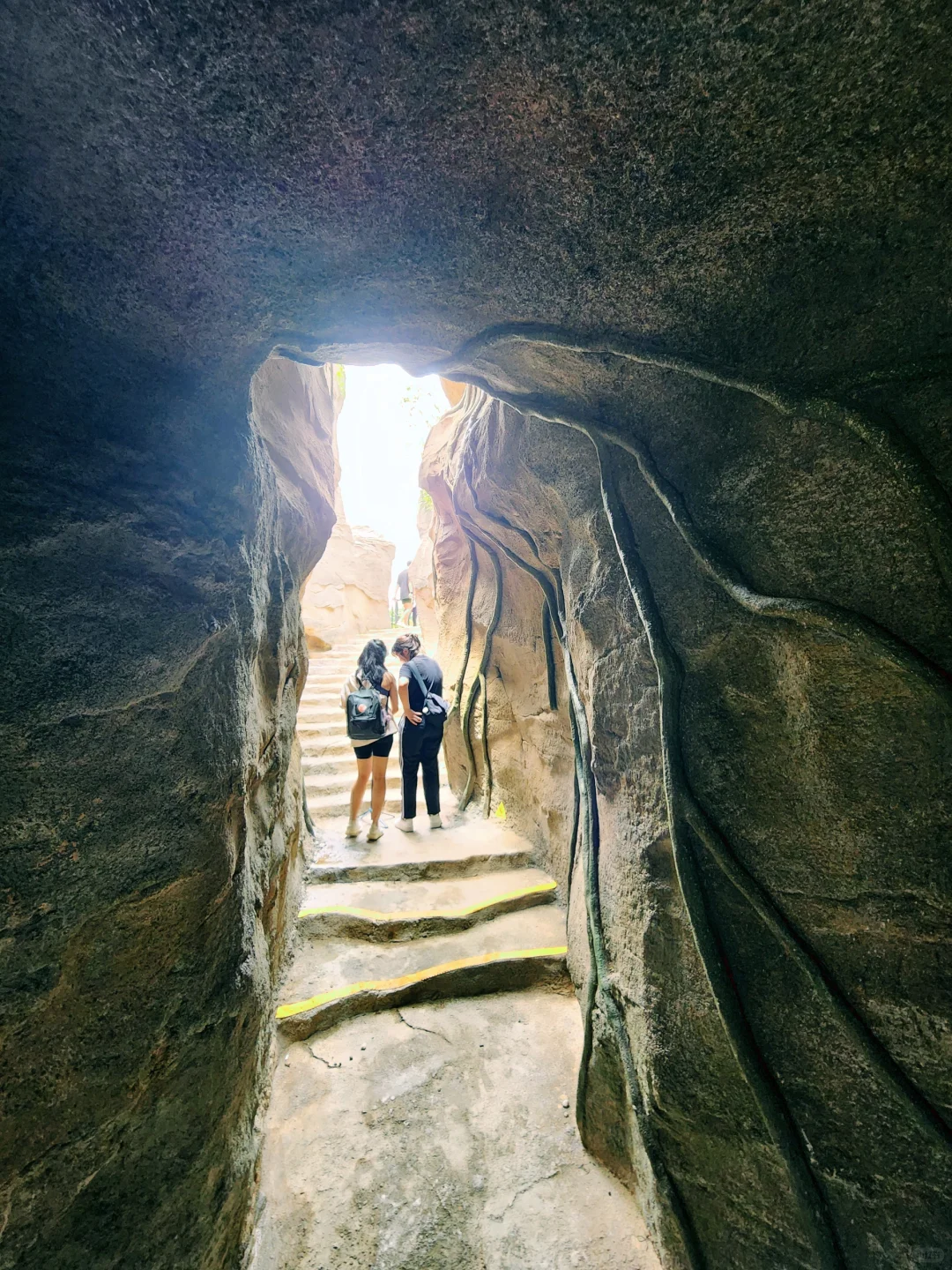 新加坡全新景点｜徒步探险！也太好拍了吧！