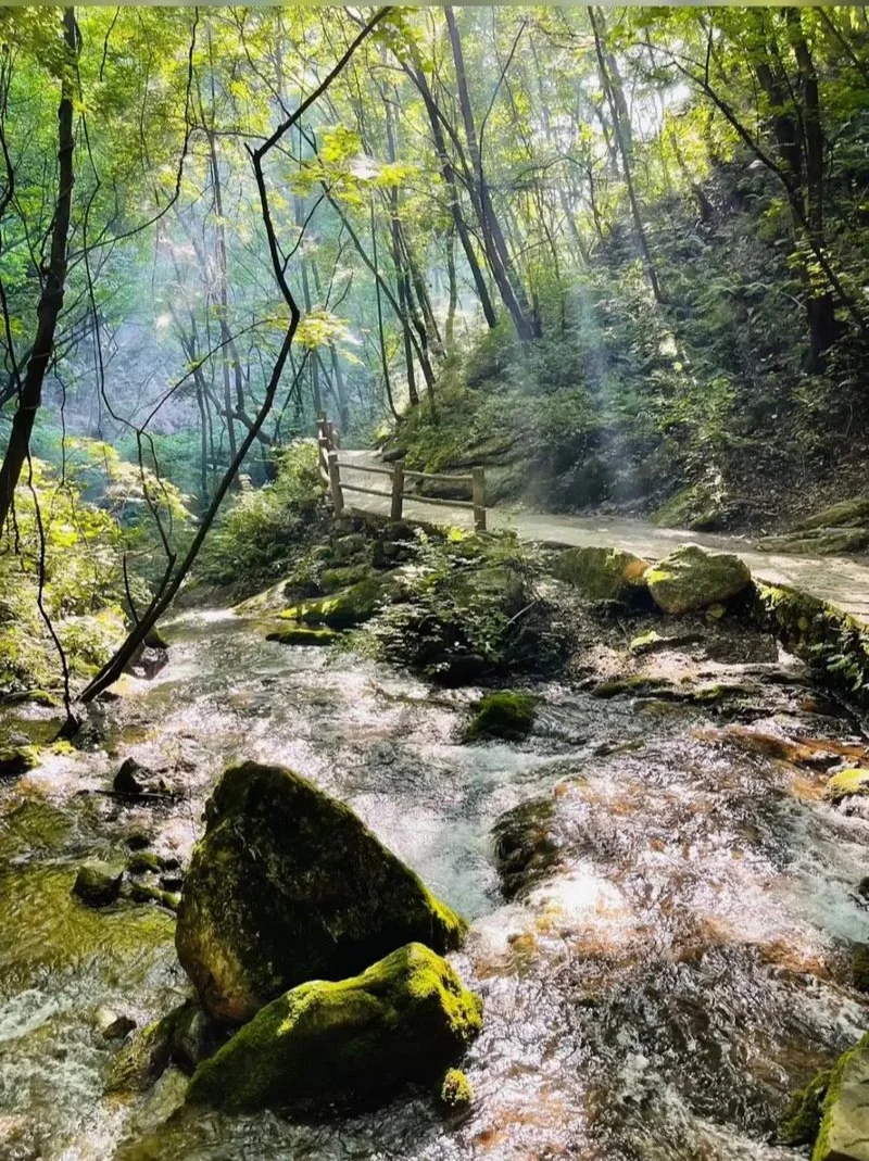 远赴人间惊鸿宴老君山三月踏春全攻略