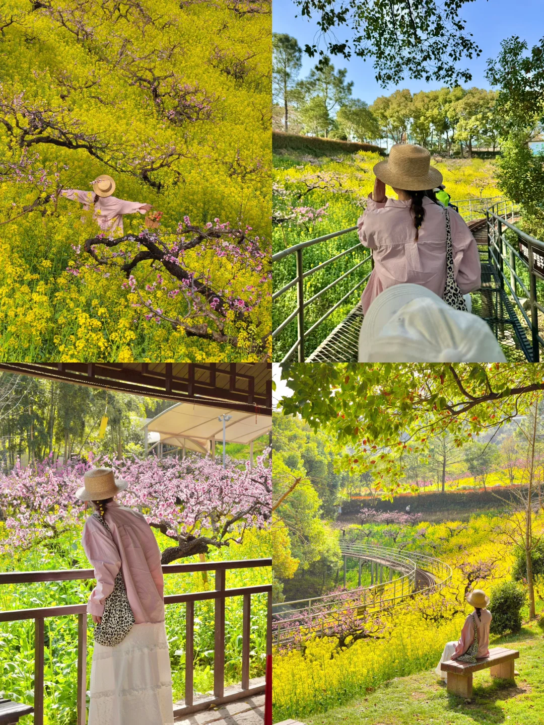 杭州出发1小时，坐上开往春天的花海小火车