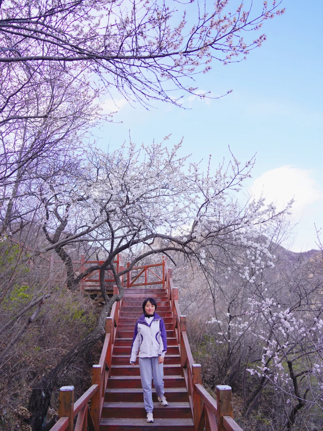 4.1实拍！京郊新开超美赏花栈道，附攻略