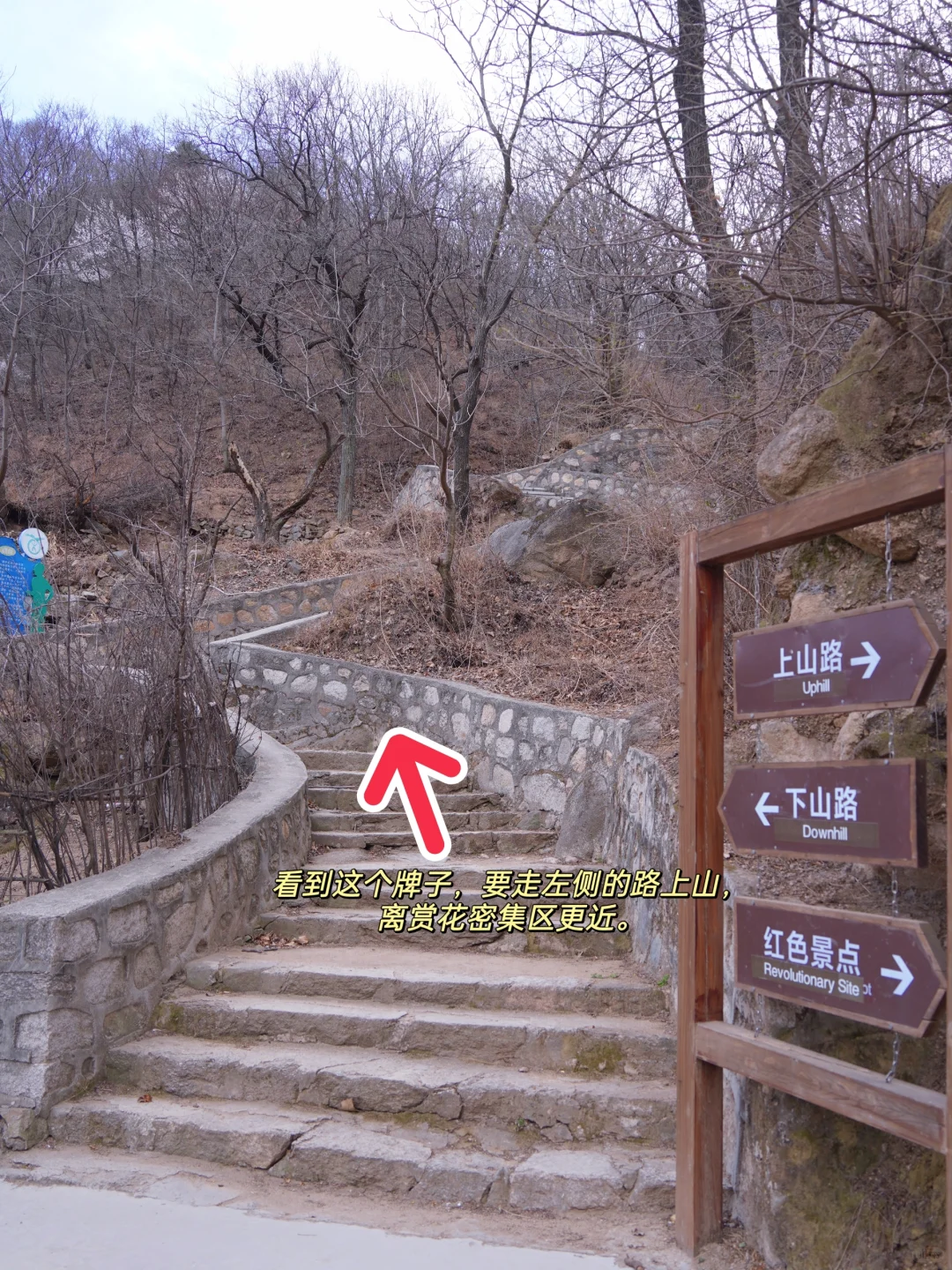 4.1实拍！京郊新开超美赏花栈道，附攻略